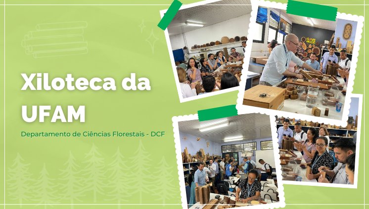 Visita Técnica à Xiloteca do Curso de Engenharia Florestal da UFAM